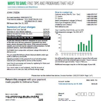 USA Delmarva Power utility bill template in Word and PDF formats, version 2 download template file