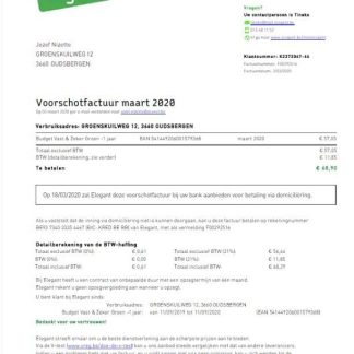 BELGIUM ELEGANT utility bill Word and PDF template download template file