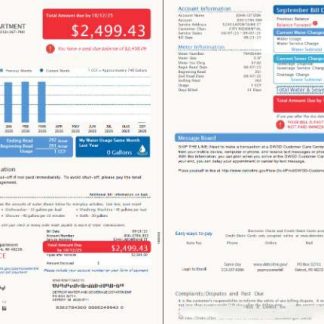 USA Detroit Water and Sewerage Department utility bill template in Word and PDF formats, 2 pages, version 2 download template file