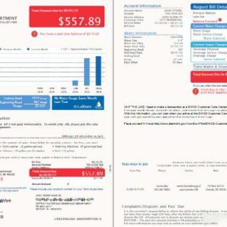 USA Detroit Water and Sewerage Department utility bill template in Word and PDF formats, 2 pages, version 3 download template file