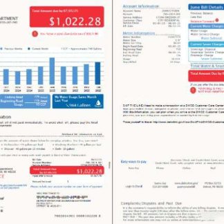 USA Detroit Water and Sewerage Department utility bill template in Word and PDF formats, 2 pages, version 4 download template file