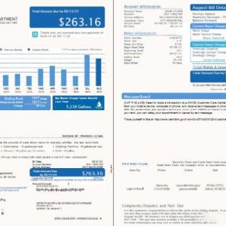 USA Detroit Water and Sewerage Department utility bill template in Word and PDF formats, 2 pages, version 5 download template file