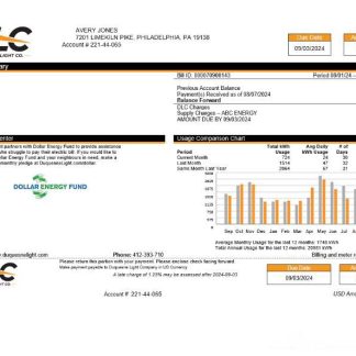 USA DLC utility bill, version 2 download template file