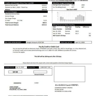 USA Dominion Energy utility bill template in Word and PDF format download template file