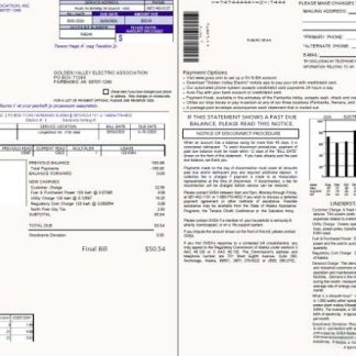 Belgium Golden Valley Electric Association utility bill template in Word and PDF formats, 2 pages download template file