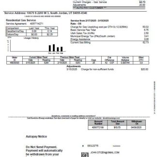 USA Dominion Energy utility bill template in Word and PDF formats, version 3 download template file