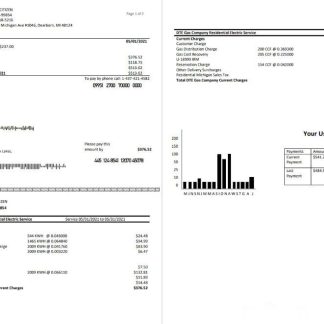 USA DTE Energy utility bill template in Word and PDF format (2 pages) download template file