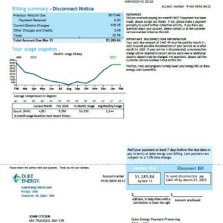USA Duke Energy utility bill template in Word and PDF formats, version 2 download template file