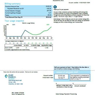 USA Duke Energy utility bill template in Word and PDF formats, version 3 download template file