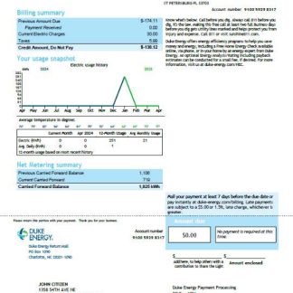 USA Duke Energy utility bill template in Word and PDF formats, version 4 download template file