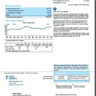 USA Duke Energy utility bill template in Word and PDF formats, version 5 download template file