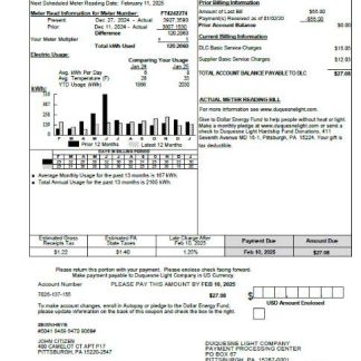 USA Duquesne Light Company utility bill template in Word and PDF formats download template file