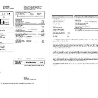 USA Entergy electricity utility bill template in Word and PDF format (2 pages) download template file