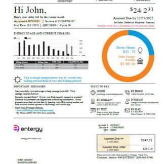 USA Entergy utility bill template in Word and PDF formats, version 2 download template file