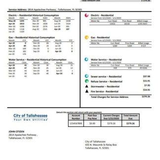 USA Florida City of Tallahassee Florida Your Own Utilities bill template in Word and PDF format download template file