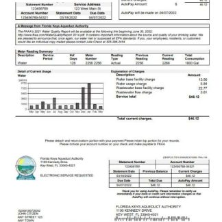 USA Florida Florida Keys utility bill template in Word and PDF format download template file