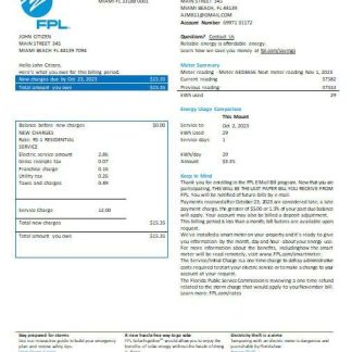 USA Florida FPL electricity utility bill Word and PDF formats, version 2 download template file