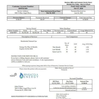 USA Florida Pensacola Energy utility bill template in Word and PDF format download template file