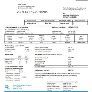 USA Florida Power & Light Company (FPL) electricity utility bill template in Word and PDF format download template file