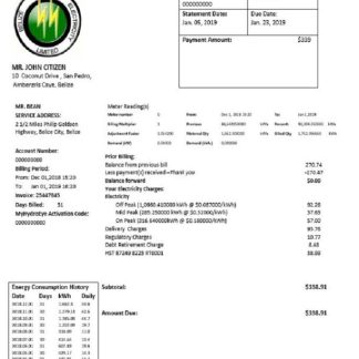 Belize Electricity Limited electricity utility bill template in Word and PDF format download template file