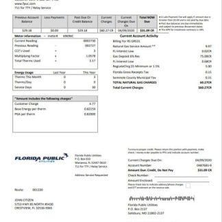 USA Florida Public Utilities utility bill template in Word and PDF format download template file