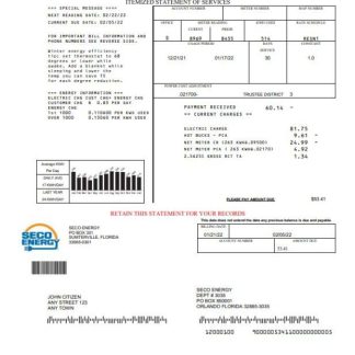 USA Florida Seco Energy utility bill template in Word and PDF format download template file
