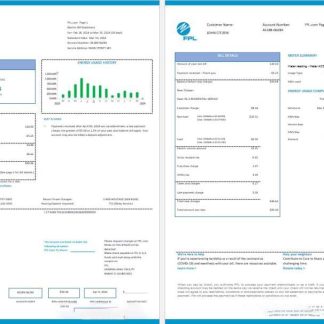 USA FPL electricity utility bil Word and PDF formats, 2 pages, version 2 download template file