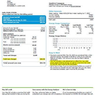 USA FPL utility bill template in Word and PDF formats, version 2 download template file