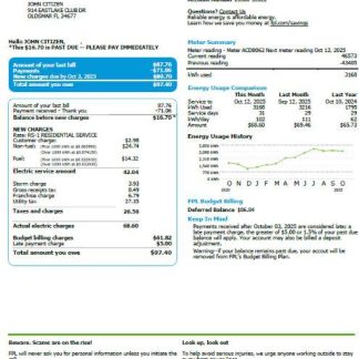 USA FPL utility bill template in Word and PDF formats, version 3 download template file