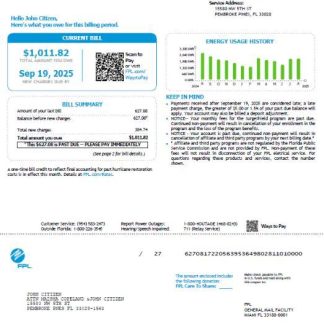 USA FPL utility bill template in Word and PDF formats, version 4 download template file