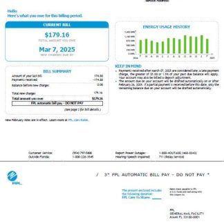 USA FPL utility bill template in Word and PDF formats, version 6 download template file
