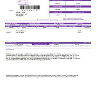 Belize Water Services Limited utility bill template in Word and PDF format download template file