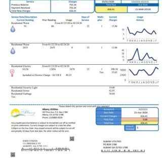 USA Georgia City of Albany water and electricity utility bill template in Word and PDF format download template file
