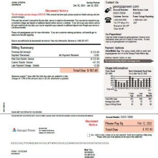 USA Georgia Power template in Word and PDF formats, version 2 download template file