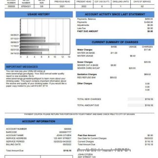 USA Georgia Savannah utility bill template in Word and PDF format download template file