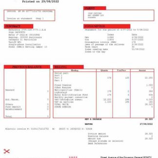 Benin Electric Company Word and PDF utility bill template download template file