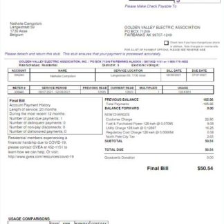 USA GVEA utility bill Word and PDF template download template file
