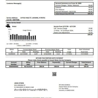 USA Hawaii Water Service Company utility bill template in Word and PDF (.doc and .pdf) format download template file