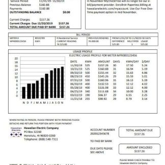 USA Hawaiian Electric utility bill template in Word and PDF format (.doc and .pdf) download template file