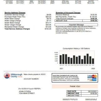 USA Hillsborough County utility bill template in Word and PDF format download template file