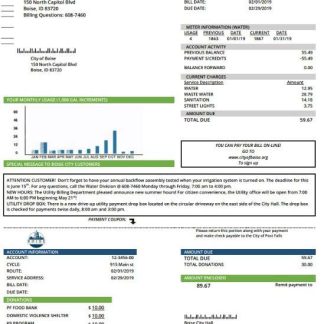 USA Idaho Boise City of Trees water utility bill template in Word and PDF format download template file