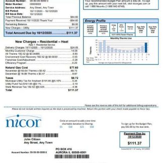USA Illinois Nicor gas utility bill template in Word and PDF format download template file