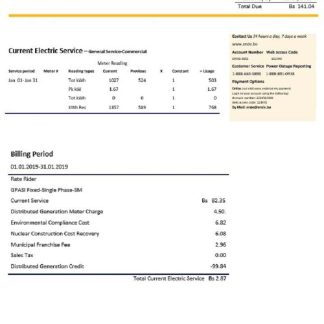 Bolivia ENDE Corporacion electricity utility bill download template file