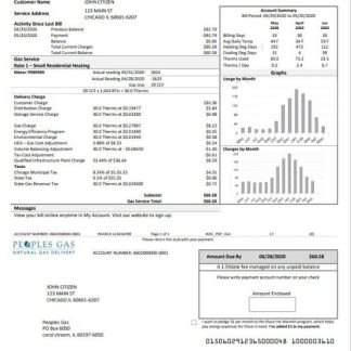USA Illinois Peoples Gas utility bill template in Word and PDF format download template file