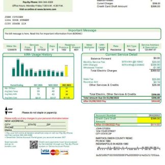 USA Indiana Bartholomew County REMC utility bill template in Word and PDF format download template file