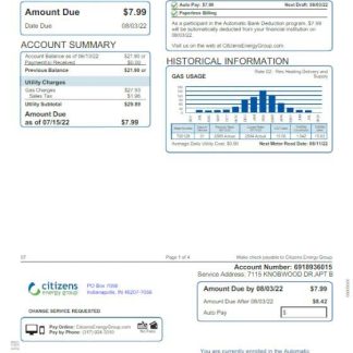 USA INDIANAPOLIS CITIZENS ENERGY GROUP utility bill Word and PDF template download template file