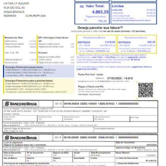 BRASIL BANCO DO BRASIL utility bill Word and PDF template download template file