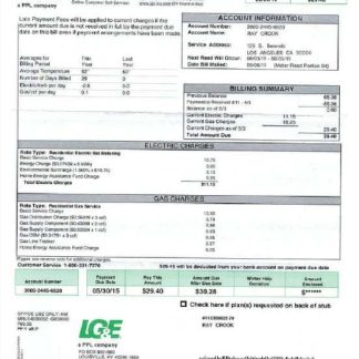 USA LG&E utility bill Word and PDF template download template file
