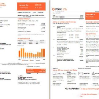 USA Long Island PSEG electricity download template file