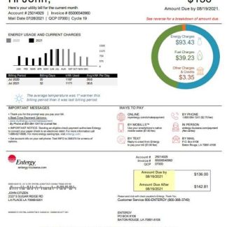 USA Louisiana Entergy utility bill template in Word and PDF format, version 2 download template file